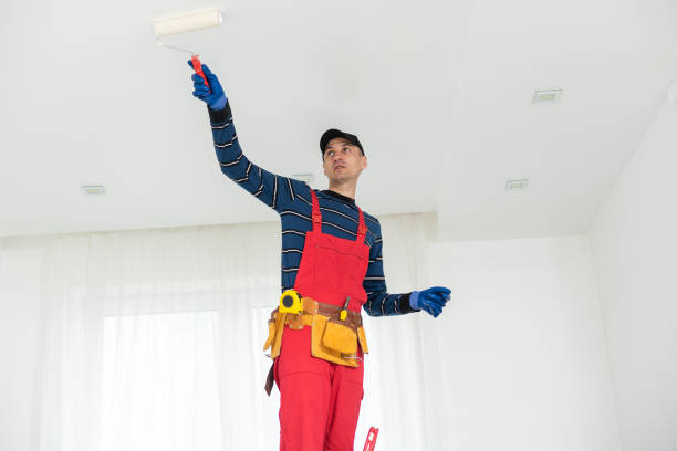 Best Water-Damaged Drywall Repair  in Mayfield, KY